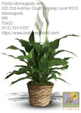 Florist Minneapolis